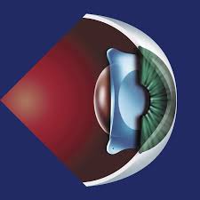 vision icl | Eye Clinic & Laser Centre | Navi Mumbai